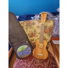 Ukelele G Shelter Como Nuevo Madera Sin Uso Con Funda