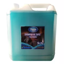 Shampoo De Tapiz Y Alfombra