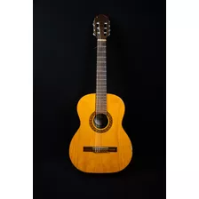 Guitarra Di Giorgio Bel Son Nro 36 De 1998