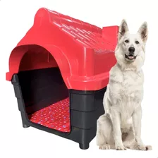 Casinha Cachorro Cães Plastica Numero 7 Extra Grande