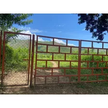 Yonny Silva Rentahouse Carabobo Vende Excelente Finca Agropecuaria En Belen Carlos Arvelo Guigue Rcys 24-7450