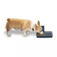 Alimentador Digital De Dos Comidas Petsafe Para Perro