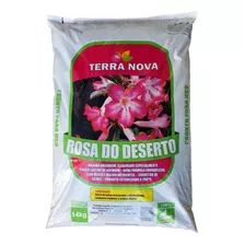 Substrato Premium Para Rosa Do Deserto Casca De Pinus Etc