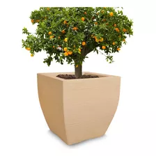 Vaso De Planta Arvore Frutifera Grande Gigante De Polietileno 90x90 Cm Cor Areia