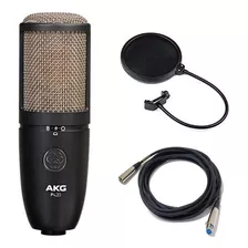 Akg Project Studio P420 Micrófono De Condensador De Diafra.