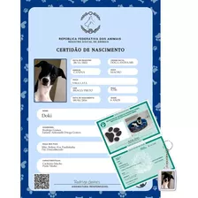 Certidão De Nascimento Rg Do Seu Pet Cão Gato Outros Animais