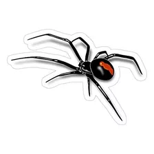 Adhesivo Adhesivo De Araña Roja Con Diseño De Viuda Negra, P