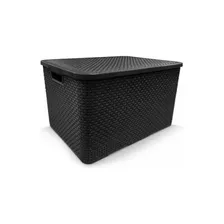 Kit 2 Caixas Organizadoras Rattan 20l Com Tampa