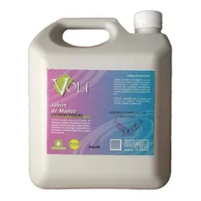 Galon Jabon Para Manos Antibacterial E - Kg a $6250