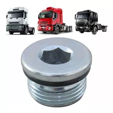 Bujao Calota Cubo Diant Iveco Stralis 480 2013 17917115