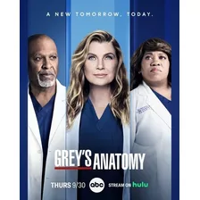 Dv - Grey's Anatomy - 17 E 18 Temporada Dublado