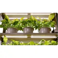 Barra Luminosa 50w Hidropônica Indoor Grow Luz Crescer Plant