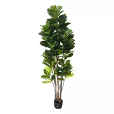 Árvore Planta Planta Ficus Lyrata 190cm Folhagem Luxo Grande