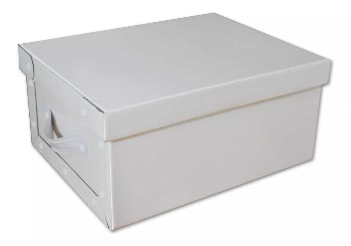 Caja Baulera Organizadora Grande 48x36x22cm Con Manija 