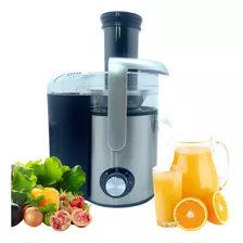 Extractor De Jugos Power Juicer Renahouse 1000w + Recetario