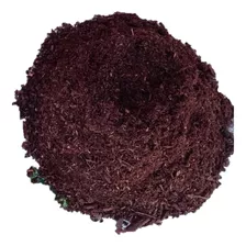 Substrato Para Rosa Do Deserto Pacote 5kg - Terra Vegetal