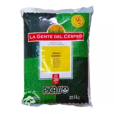 Semilla Cesped Pasto Picasso Media Sombra X 1 Kg