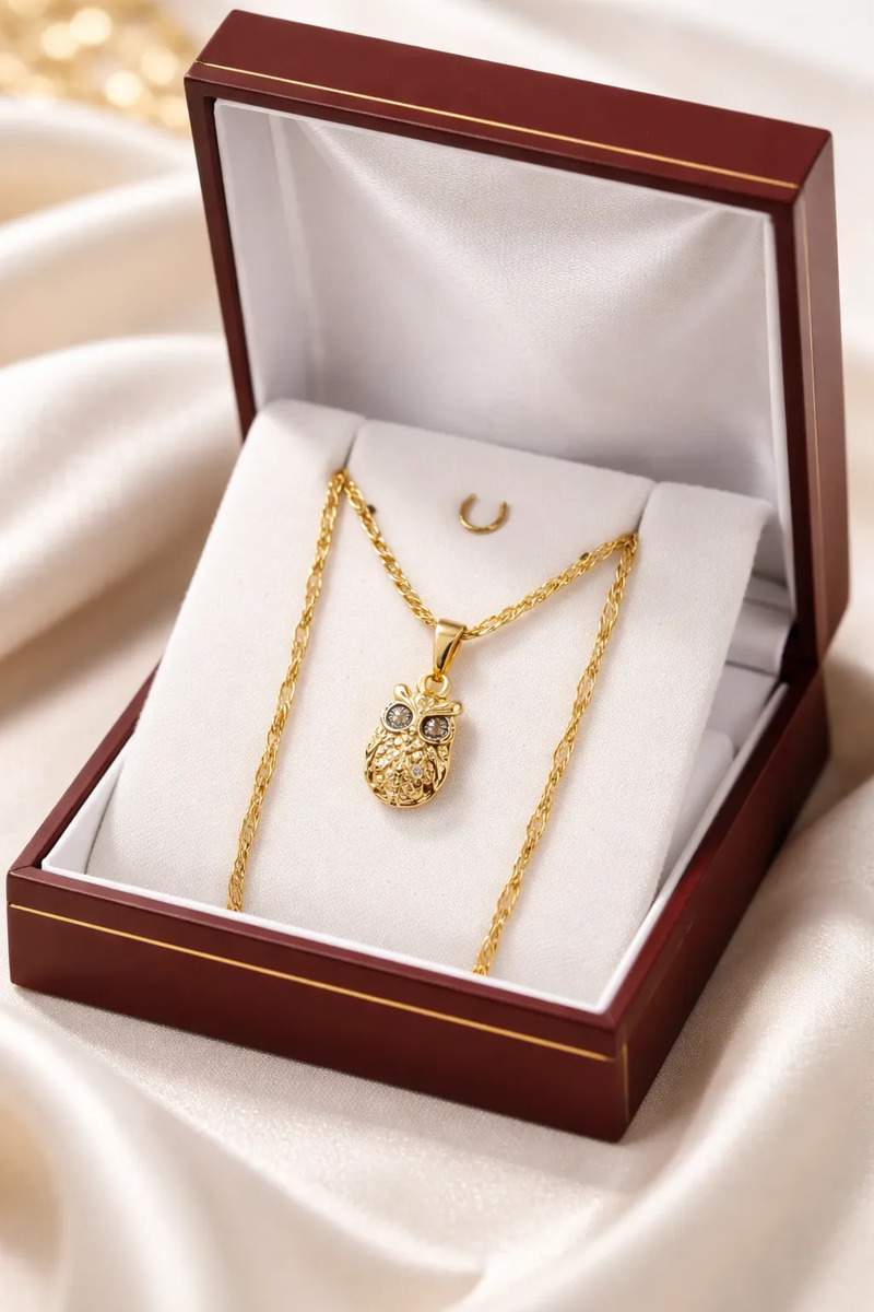 Hermoso Collar Con Dije Búho + Aros Enchapado En Oro 18kt  