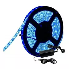 Tira Luces Led Azul 5 Mts. Modelo 2882 C/fuente