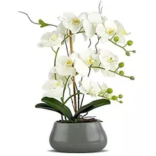Flores Artificiales De Orquídea Blanca Con Jarrón Gris, Flo