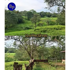 San Felix Chiriquí, Finca, Hacienda Y Lechería, 11.6 Hectáreas De Terreno, Carretera Juay, Residencia De 167m2