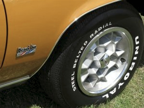 Emblema Pontiac Grand Am 1973-1975 Gm 921 Foto 10