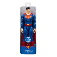 Boneco Articulado 30 Cm Dc Comics - Spin Master - Sunny