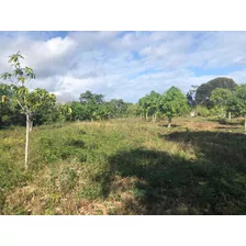 Vendo Terreno Cerca De La Playa De Najayo