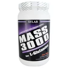 Sylab Mass Sabor Frutilla 1.2 Kg