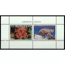 Tema América Upaep - Surinam 2003 - Block Mint