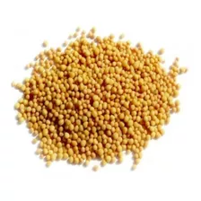 Semilla De Mostaza Amarilla Grano X 1 Kilo
