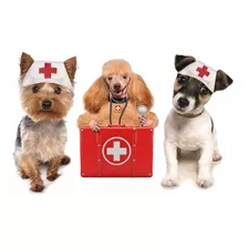 Adesivo Porta Pet Shop Veterinária Médico Cachorro Banho 