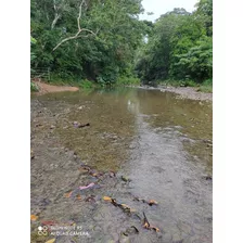 Oportunidad Finca 1500 Tarea En Bayaguana Con Río Facilidade