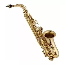 Sax Alto Vogga Vsas701n Dourado Com Case Luxo