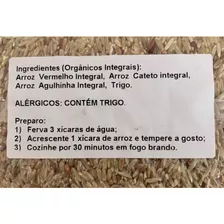 Arroz Integral Orgânico Ecobio Misturadinho 500g