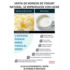 Yogurt Vivo Kefir Se Reproducen Con Leche