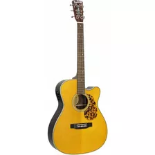 Guitarra Electroacustica Br-163ce Funda De Lujo Gratis