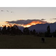 Lote Terreno En Barreal San Juan A 1000mts De La Plaza, El Leoncito, Escriturado, Titular, Impuestos Al Dia.