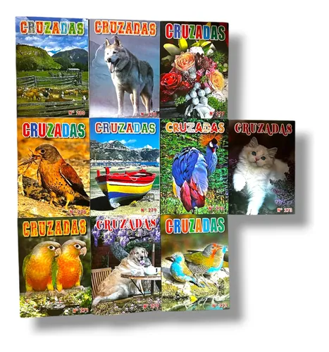 Pack 10 Crucigramas para Adultos — 10 crucigramas distintos · letra grande · adultos — KIOSTRO Chile