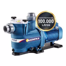 Bomba Piscina Pedrollo Magnifica 2m Hasta 100.000 Lts 1 Hp