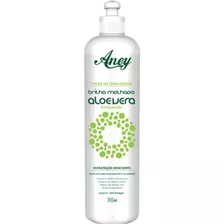 Aney Aloe Vera Brilho Molhado Creme Pentear 300ml