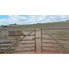 Campo En Ruta 109, Rocha