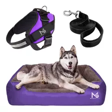 Super Combo / Cama Para Perros X L + Pechera L + Paseador