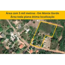 Área De 5 Mil Metros + Casa + Ponto Comercial Terreno Plano