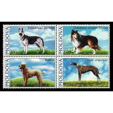 Fauna - Perros - Moldavia 2006 - Serie Mint - Yvert 489-492