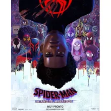 Póster Original De Cine Spiderman A Través Del Spider-verso 