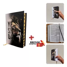 Biblia Sagrada Letra Grande Hiper Gigante Palavras Negrito Letra Harpa Evangélica Fé Índice Jovem Masculina Lateral Jesus Almeida Grande Luxo De Aba Ferreira Promessas