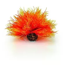 Biorb 460850 Aquatic Sea Lily Orange Aquariums