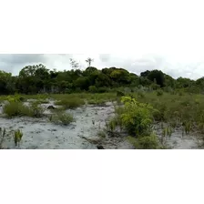 Fazenda / Sitio No Baixo Sul Da Bahia Para Investidor 10 Hectares Com Mata Atlântica, Localizada Na Ilha Do Timbuca Ba Proximo Ao Povoado De Pescadores Portinho. 