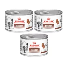 Royal Canin 3 Latas Recovery Para Cães E Gatos Pett